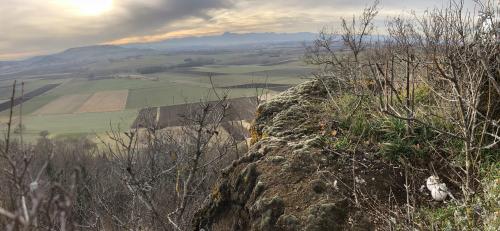 Tour de Courcourt [12-02-2022](IMG_4288).jpg